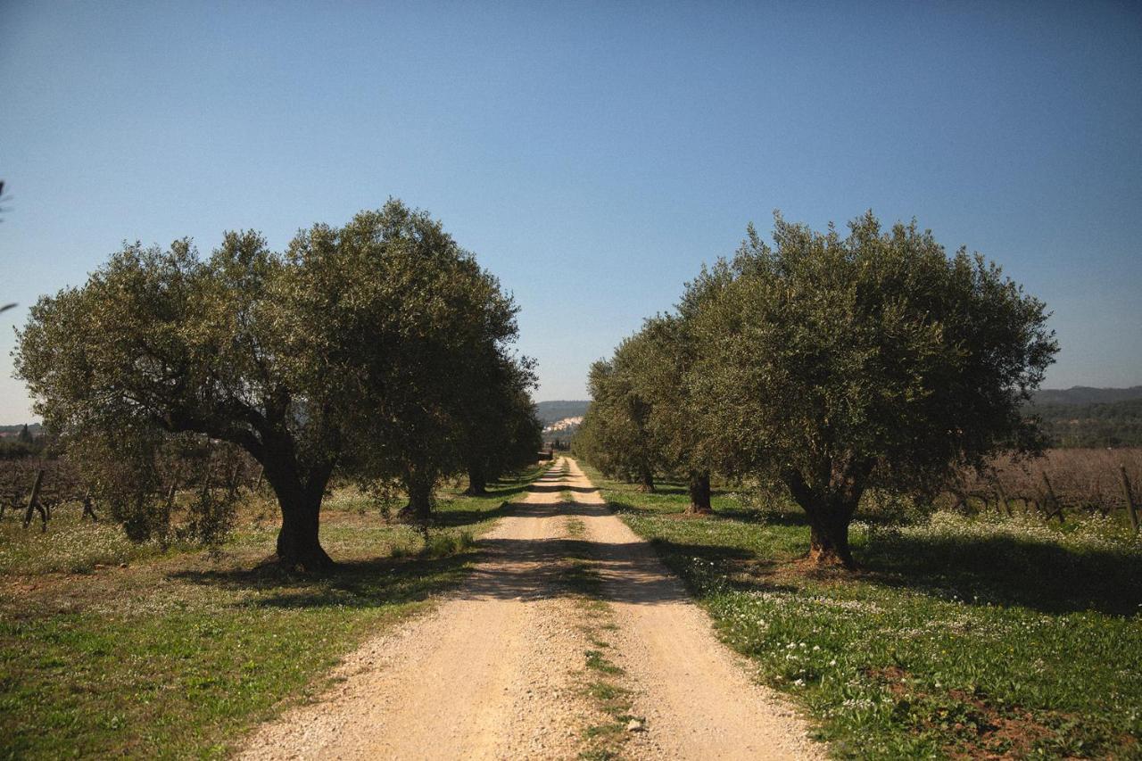 Masia Bartomeu Rural House Between Vineyards 2Km From The Beach El Vendrell Exterior foto