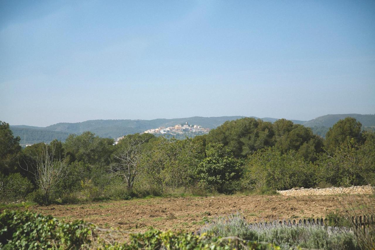 Masia Bartomeu Rural House Between Vineyards 2Km From The Beach El Vendrell Exterior foto