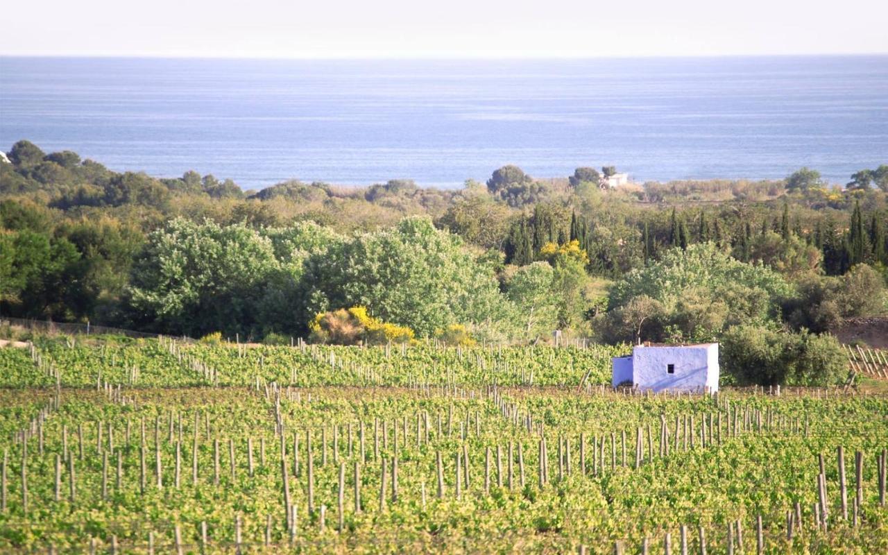 Masia Bartomeu Rural House Between Vineyards 2Km From The Beach El Vendrell Exterior foto